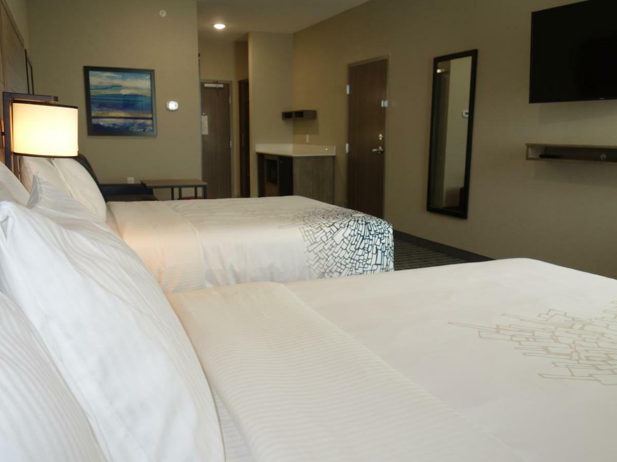La Quinta By Wyndham San Antonio Alamo City Ngoại thất bức ảnh